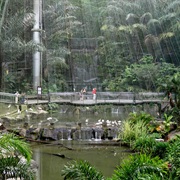Kuala Lumpur Bird Park