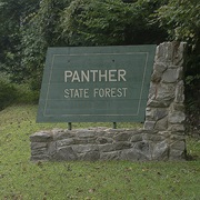 Panther State Forest, West Virginia