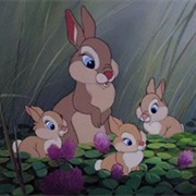 Mrs. Hare and Thumper's Sisters