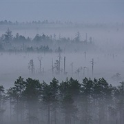 Patvinsuo National Park, Finland