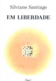 Em Liberdade - Silviano Santiago (1982)