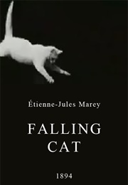 Falling Cat (1894)