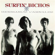 Surfin&#39; Bichos - Hermanos Carnales
