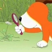 The Magnifying Glass