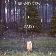 You Stole - Brand New