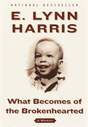What Becomes of the Broken Hearted (E. Lynn Harris)