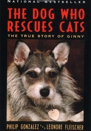 The Dog Who Rescues Cats: The True Story of Ginny (Philip Gonzalez)