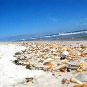 Saint George Island State Park