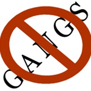 Gang Prevention Awareness Month (February)