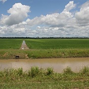 Wageningen, Suriname