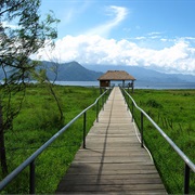 Lago De Yojoa, Honduras