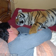 When They Steal Your Husband