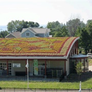 Curious Kid's Discovery Zone