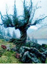 Whomping Willow