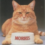 Morris