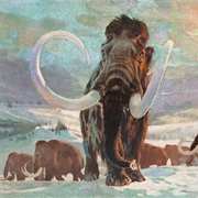 What Happened on Earth Before There Were Any People?