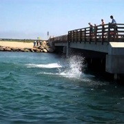 Martha's Vineyard (Jaws)