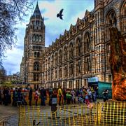 National Museum of Natural History