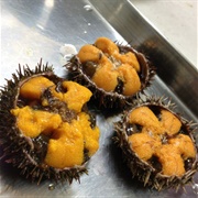 Uni (Sea Urchin)
