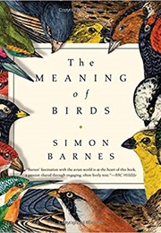 The Meaning of Birds (Simon Barnes)