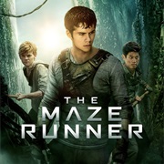 The Maze Runner