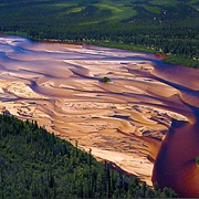 Athabasca Sand Dunes