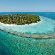 Maldives