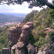 Schwarzwald / Black Forest / Forêt-Noire