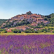 Provence, France in Spring