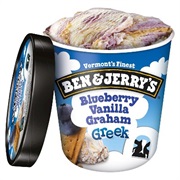 Blueberry Vanilla Graham Greek Frozen Yogurt