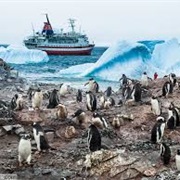 Curverille Island 64.00 S Antarctica