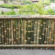 Bamboo Fence