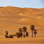 Ride Through the Sahara