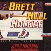 Brett Hull Hockey
