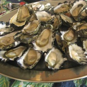 Oysters