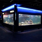 Santa Pola Aquarium