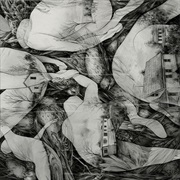 Mono - Rays of Darkness