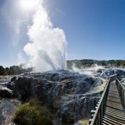 Te Puia, New Zealand