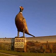 World's Largest Pheasant, Huron, SD
