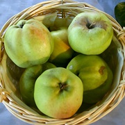 Calville Blanc D'hiver