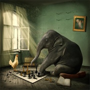 Elephant Playing Chess