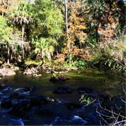 Hillsborough River State Park, Florida