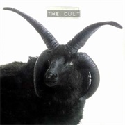 The Cult — the Cult