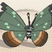 Jungle Vivillon
