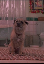 There's Something About Mary. (1998)