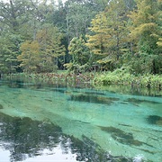 Edward Ball Wakulla Springs State Park, Florida