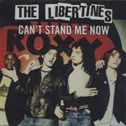 Can't Stand Me Now - The Libertines