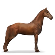 Tennessee Walker - Chestnut