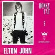 Honky Cat