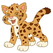 Baby Jaguar